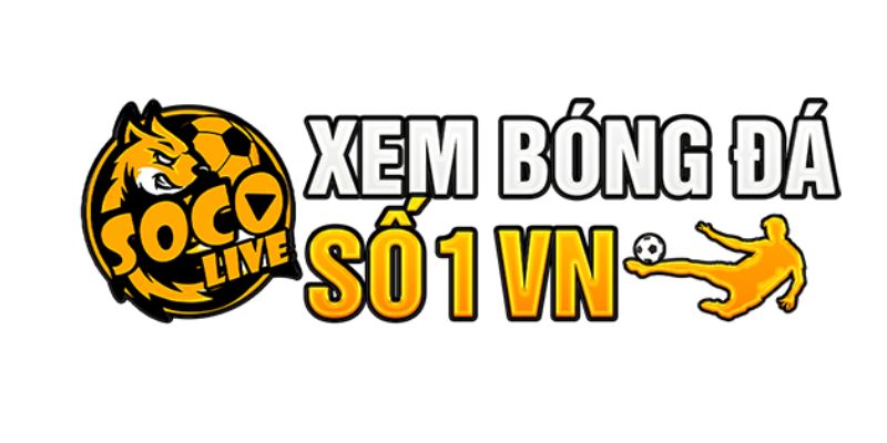  Cùng tìm hiểu link socolive